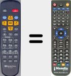 Replacement remote control for RS 220P