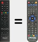 Replacement remote control for ER-22654HS (172160)