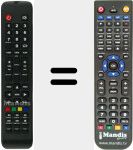 Replacement remote control for 24HL5309F