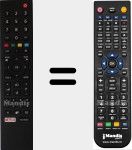 Replacement remote control for TS1-R6 NETFLIX (759551851300)