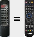 Ersatzfernbedienung für RC4001PM (3070100010088)