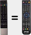 Replacement remote control for RC3910 (75020598)