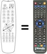 Replacement remote control 1007092010