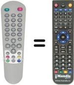 Replacement remote control Zodiac DZR1000FTA