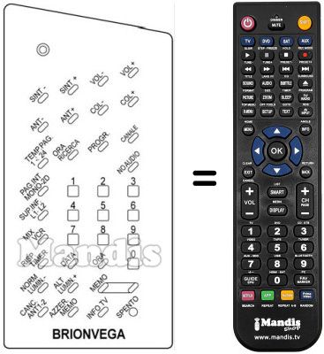 Replacement remote control 660.01.0131