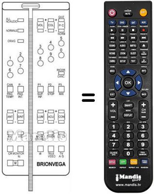 Replacement remote control 660.01.0193