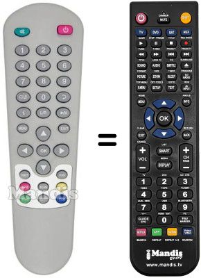 Gleichwertige Fernbedienung Zodiac DZR 1DTT