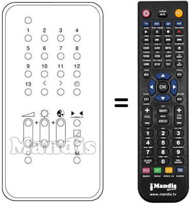 Replacement remote control IR 1000