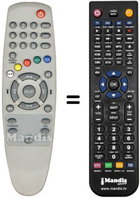 Gleichwertige Fernbedienung Zodiac DZR 1300 DTT