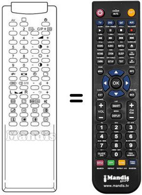 Replacement remote control RM-113