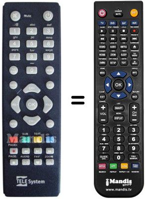 Replacement remote control Telesystem TS 3001