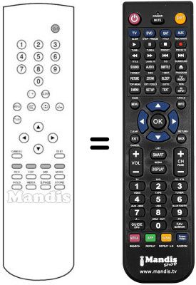 Gleichwertige Fernbedienung REMCON1176 Gleichwertige Fernbedienung REMCON1176