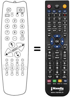 Replacement remote control Protech CTV7294