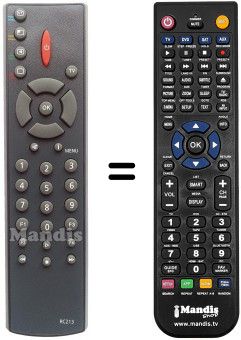 Replacement remote control RC213