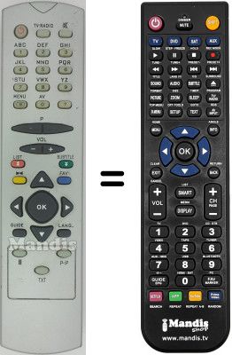 Replacement remote control RC2548